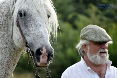 I nostri amici animali